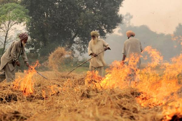 Burning of rice residues in SE Punjab, India, prior to the wheat season. Image: Neil Palmer (CIAT). CC BY-SA 2.0