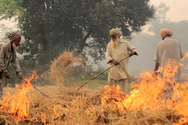 Burning of rice residues in SE Punjab, India, prior to the wheat season. Image: Neil Palmer (CIAT). CC BY-SA 2.0