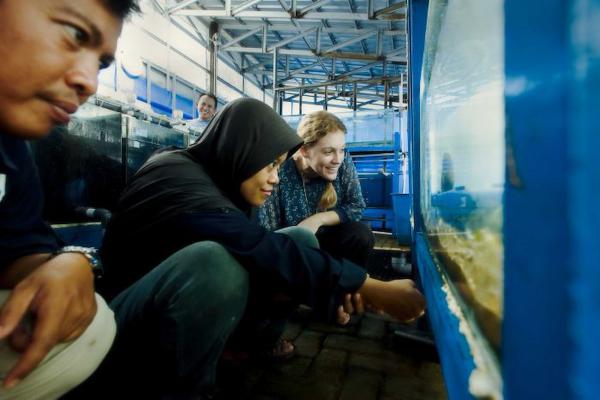 Siobhan is helping local staff at Mars Symbioscience Mariculture facility in Sulawesi. Supplied: Darren James
