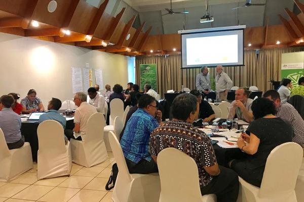 The 2017 Pacific biosecurity workshop. Credit: ACIAR/Kalang Consulting