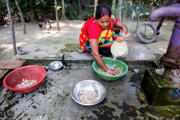 Santona Rani cleaning mola fish in preparation for cooking. She is a member of an AIN-supported nutrition group, where she learned how to use a gill net and the nutritional benefits of eating mola. In Madhob pasha, Babugong, Barisal, Bangladesh.