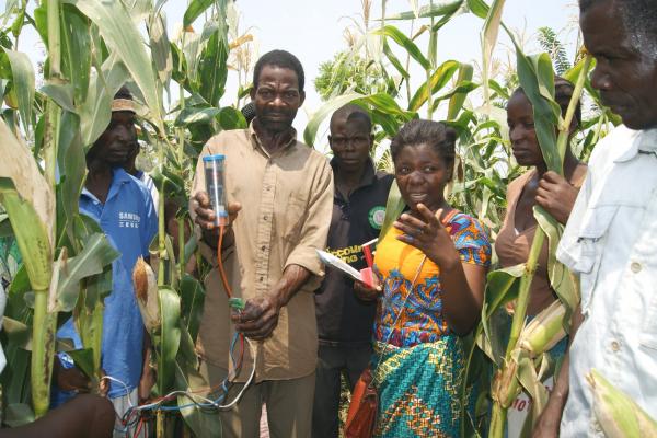 Smallholder maize farmers and VIA members in the field in Malawi with the Chameleon Soil Water Sensor. Credit: Dr Richard Stirzaker