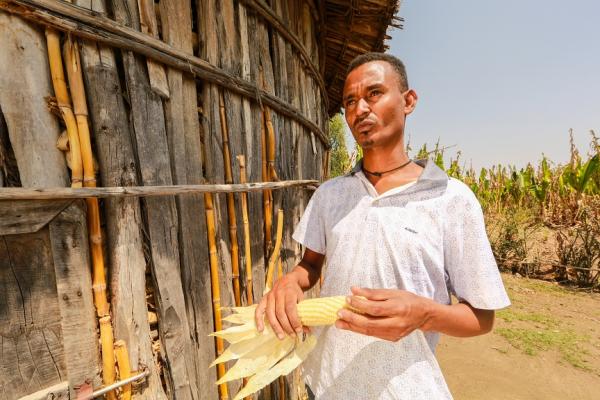 farmer with maize