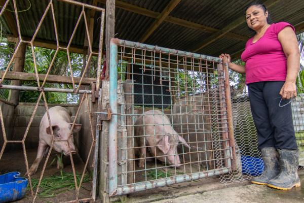 farmer with pig 