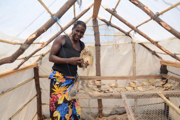 A woman processor in a solar tent fish dryer in Tangatanga fishing camp, Western Province, Zambia Credit: Olek Kaminski, 2016