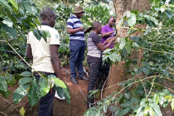 New pruning techniques in Uganda are showing farmers that trees are more valuable in the ground than on the woodpile