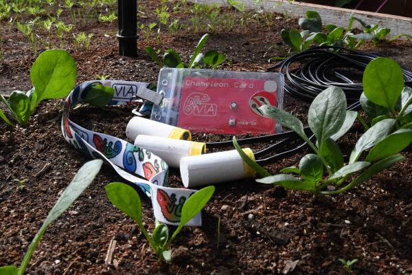 Chameleon Soil Water Sensor 