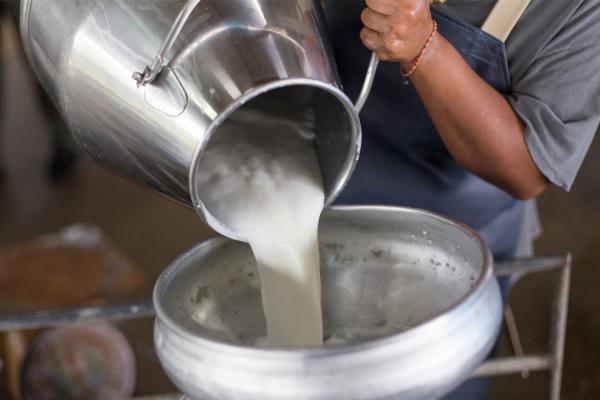 Pouring milk into a bowl