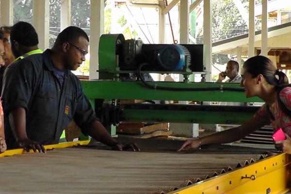 People looking at wood production