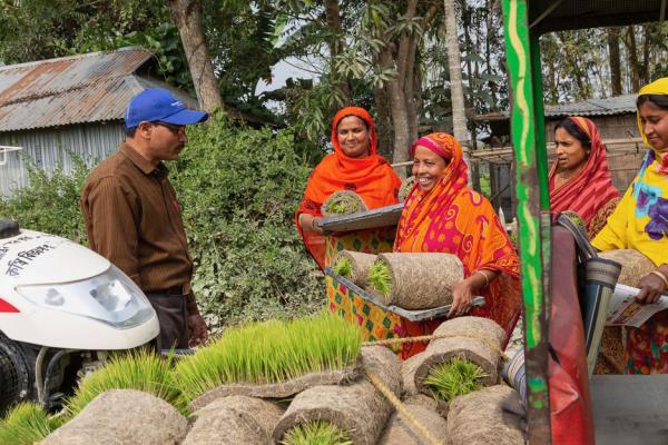 Group of people with rolls of lawn