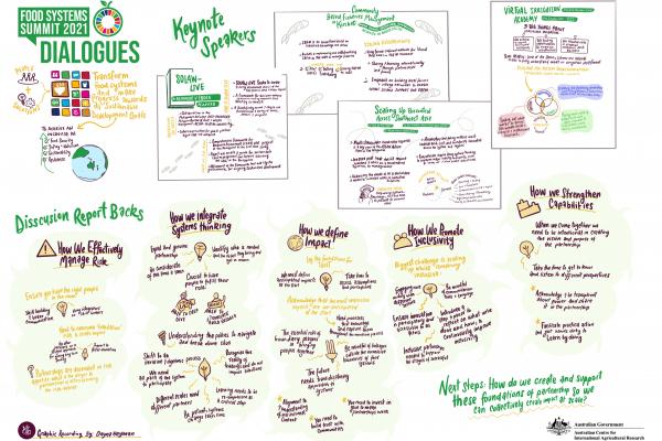 Partnerships Dialogue Graphic Recording