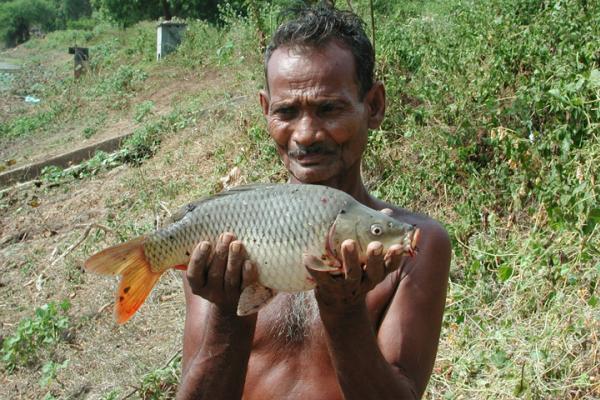 FinFish in Sri Lanka 