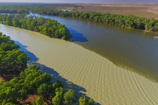 aerial view of the river with vegetation on the river banks 