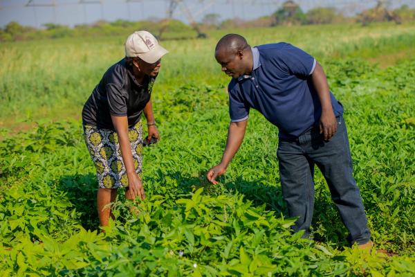 Researchers in the field 