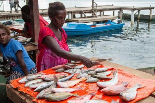 Reef fish for sale at Gizo market, Western Province, Solomon Islands. Photo credit: Filip Milovac / WorldFish