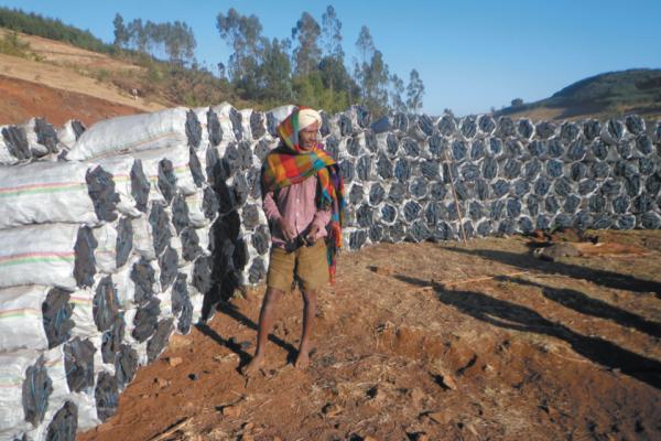 An Ethiopian farmer stands beside his bags of Acacia decurrens charcoal. 