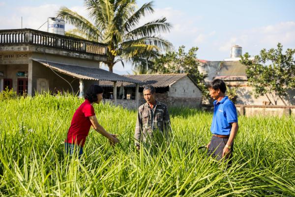 Researcher talking to farmers in Vietnam 
