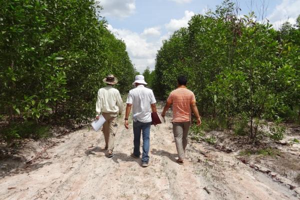 Forestry Administration staff conducting surveillance in an Acacia plantation, Kampong Chhnange Province, Cambodia.