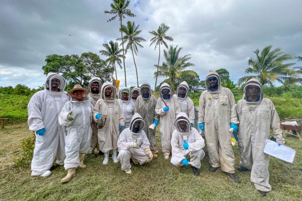 beekeepers in Pacific 