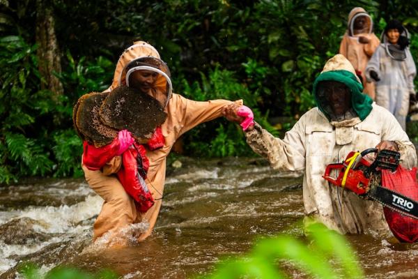 beekeepers crossing river