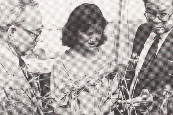 Two men in suits stand on either side of a woman. They are looking down at some plants that are sitting about waist height on a table. 