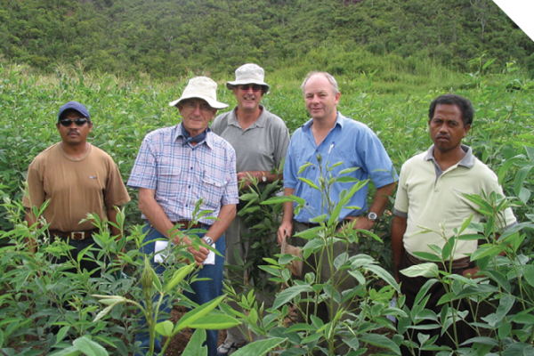 Five men stand in a field of crops. The crops are just over waist high. Two of the men are wearing white sun hats and one is wearing a blue cap. Several of them are smiling. 