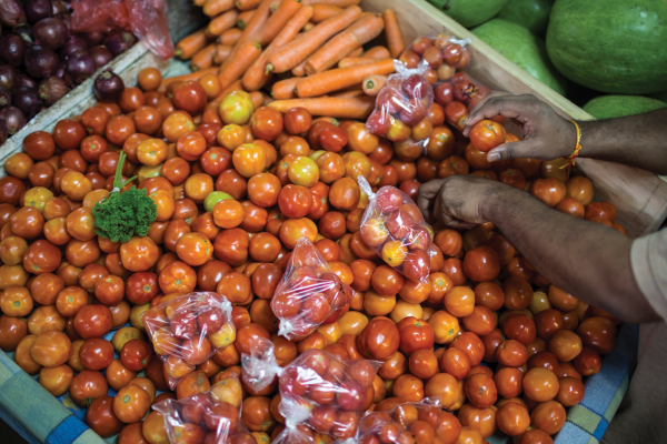 A large tub of fruit or vegetables, possibly tomatoes or apples, with some carrots in one corner. A person’s hands are reaching into the tub. There are several plastic bags of the fruit lying on top. 