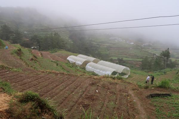 An upland vegetable farm in Benguet Province in northern Philippines.