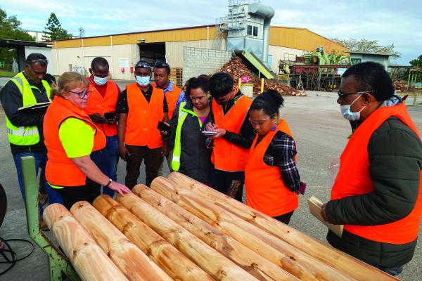 Group of people inspecting wood in factory yard