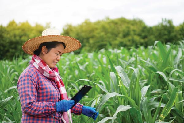 Women in crop field wearing hat an gloves looking at a mobile device