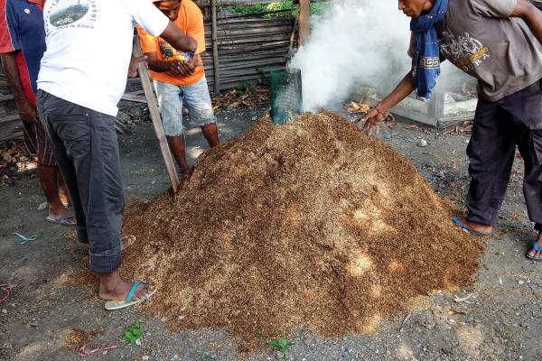 Men burning a large pile of rice hulls