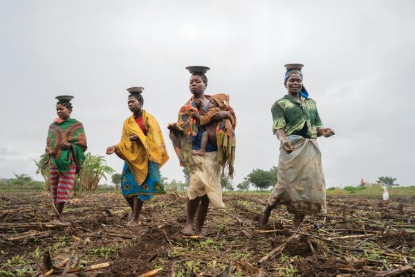 Four women walk across a freshly tilled field, carrying bowls balanced on their heads and wearing brightly coloured clothing.