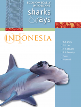sharks and rays