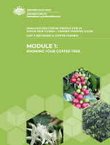 cover image of book