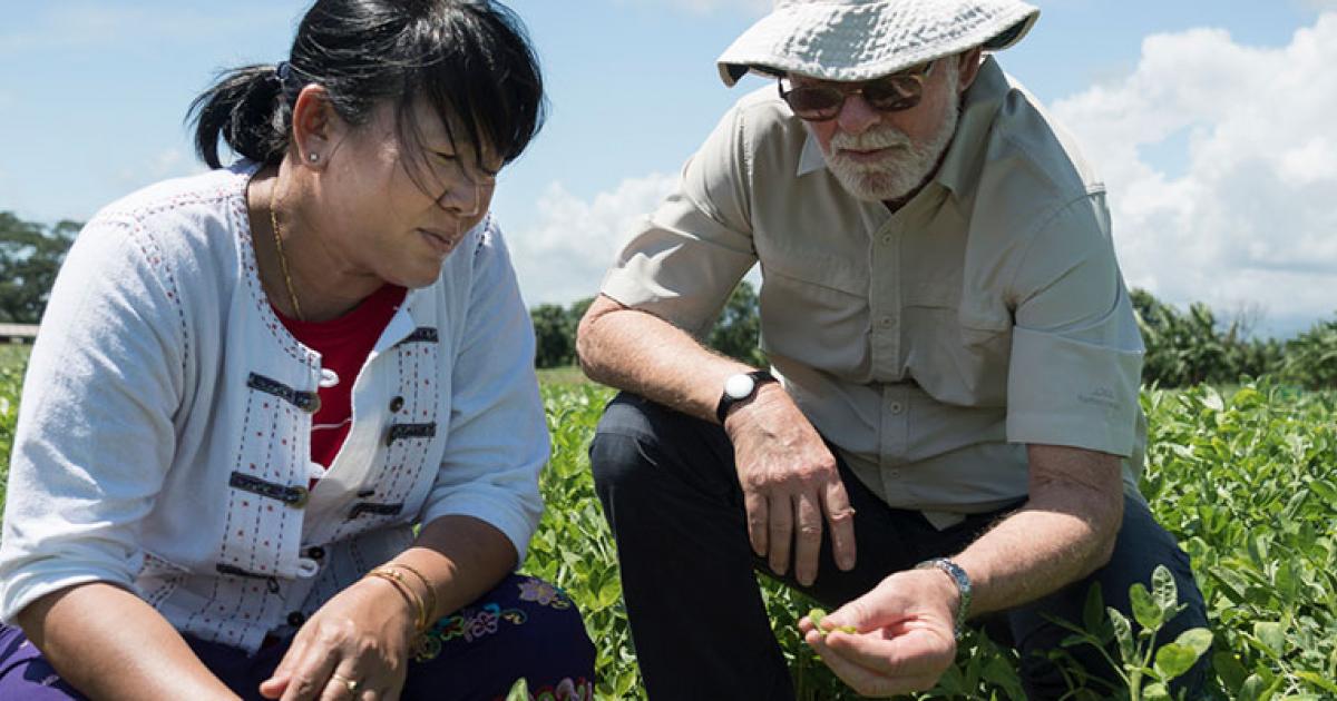 Global Research Collaborations | ACIAR