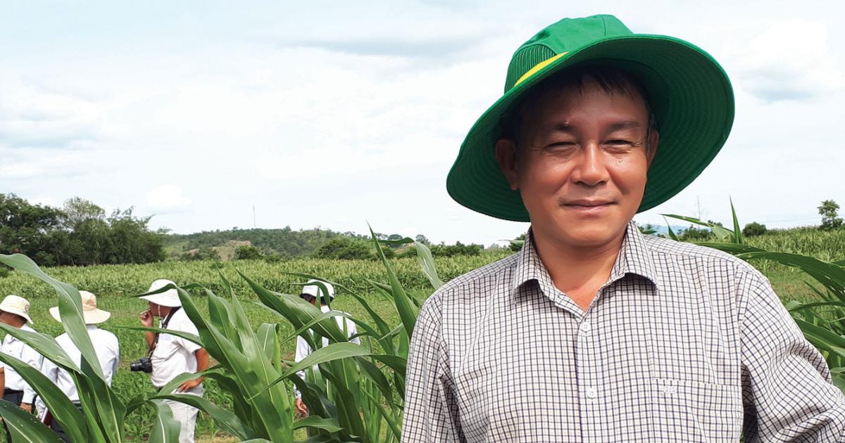 Genetic knowledge leads to effective options for crop threats | ACIAR