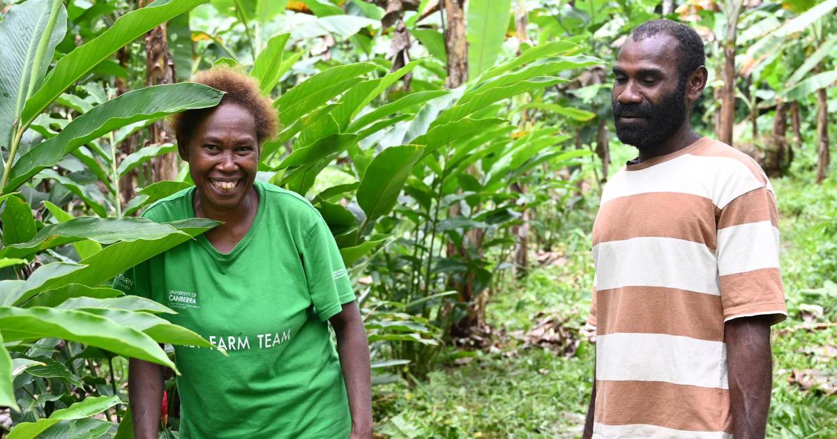 Family Farm Teams - Challenging gender norms in agriculture in the ...