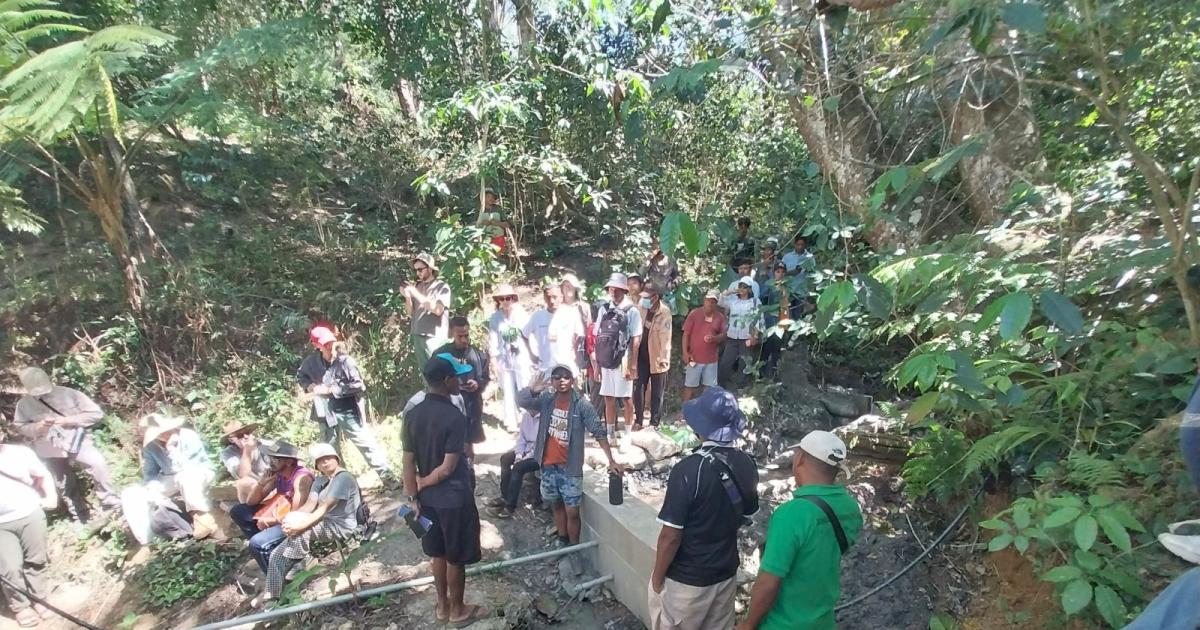 Nature-based solutions to boost water and food security in Timor-Leste