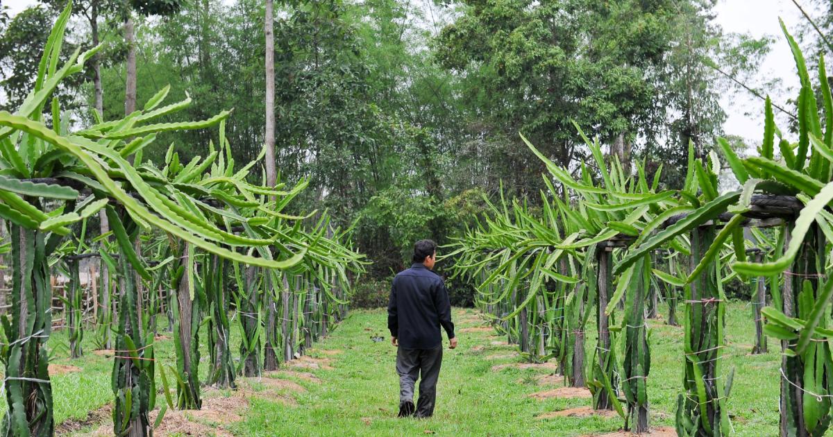 Laos Inventions Celebrating 35 years of research-for-development collaboration in Laos ...