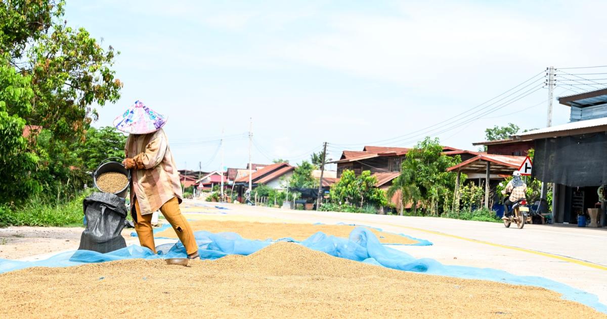 Exploring future pathways for farmers in Vietnam and Laos