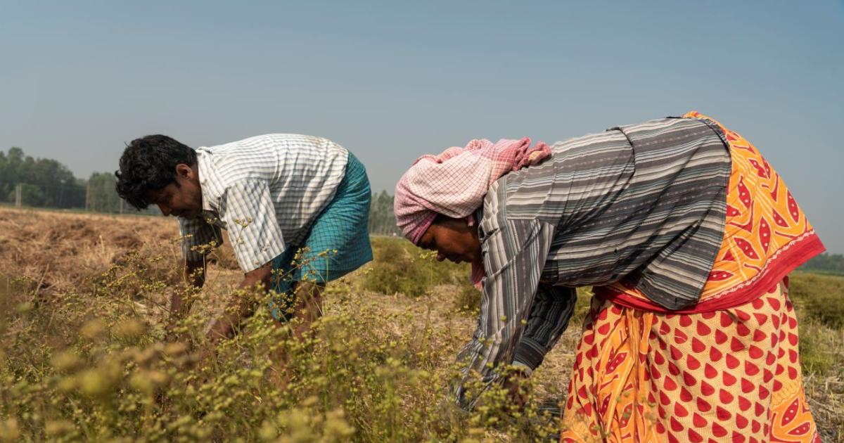Understanding the drivers of successful and inclusive rural regional ...