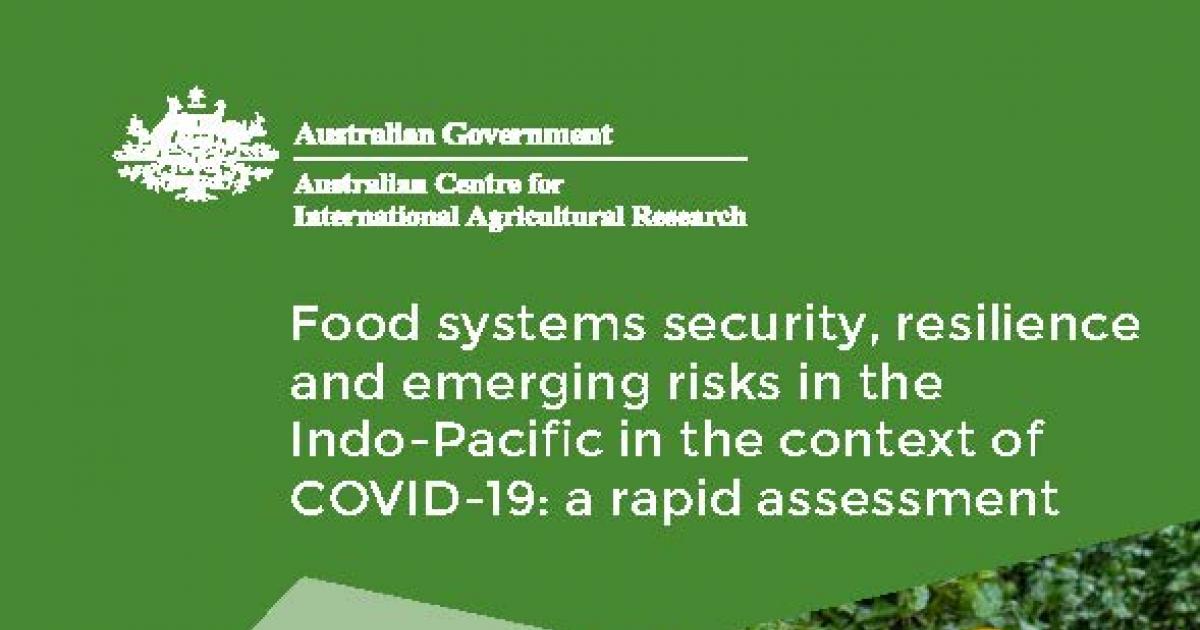 Food systems security, resilience and emerging risks in the Indo ...