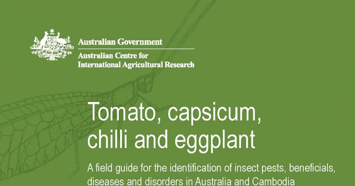 Tomato, capsicum, chilli and eggplant: a field guide for the ...