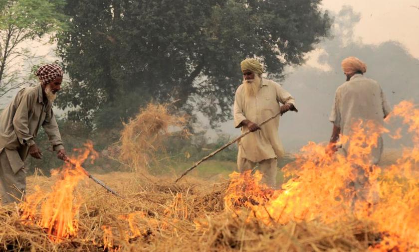 Burning of rice residues in SE Punjab, India, prior to the wheat season. Image: Neil Palmer (CIAT). CC BY-SA 2.0