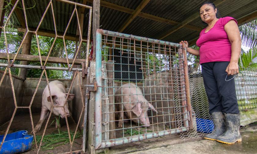 farmer with pig 