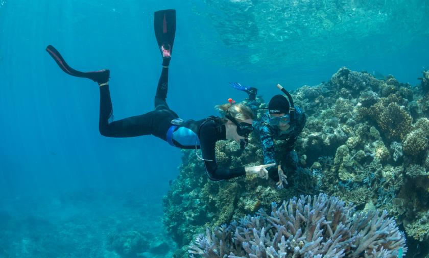 Scuba diver exploring coral reef