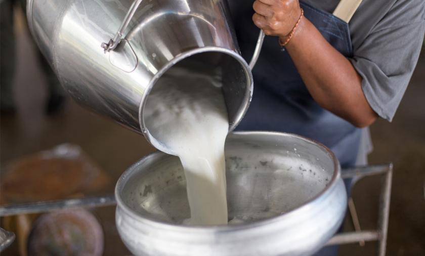 Pouring milk into a bowl