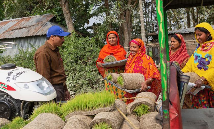 Group of people with rolls of lawn
