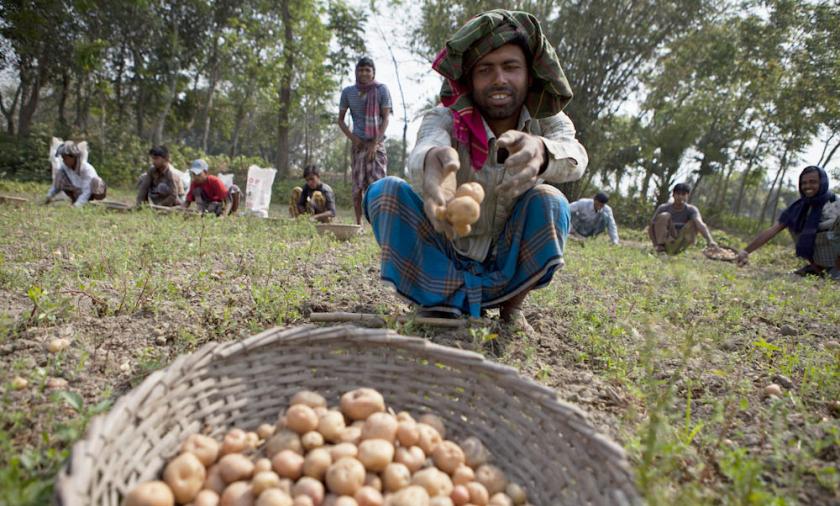 Farmer in Bangladesh 