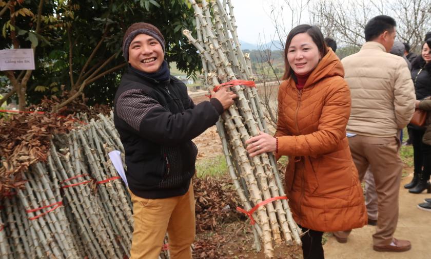 NOMAFSI gives cassava stems to farmers and participants in the workshop on 13/11/2020.